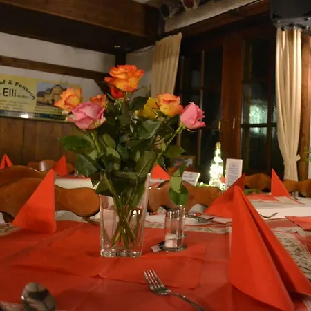 בית הארחה Elli Kroessner 2*